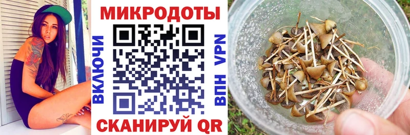 Галлюциногенные грибы ЛСД  Купить  Георгиевск 