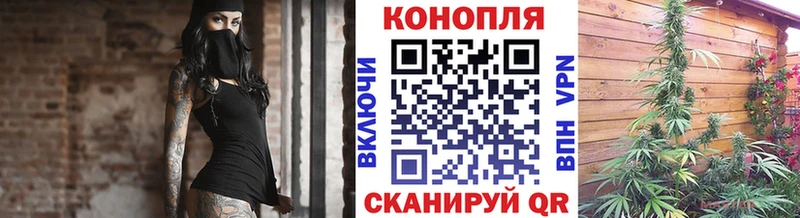 Конопля White Widow Георгиевск